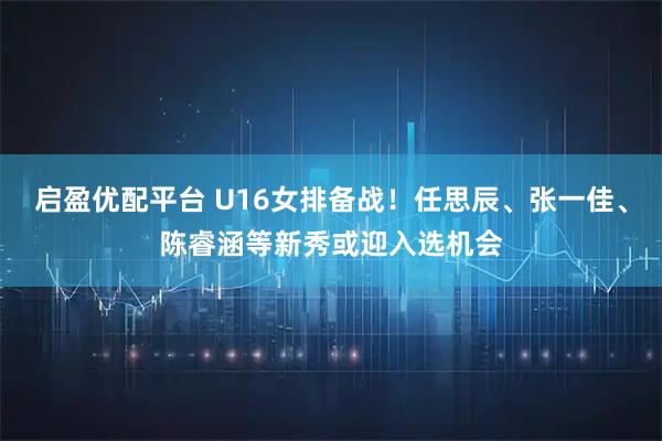 启盈优配平台 U16女排备战！任思辰、张一佳、陈睿涵等新秀或迎入选机会