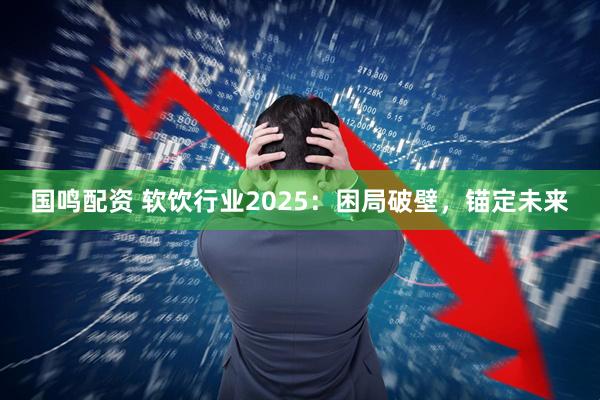 国鸣配资 软饮行业2025：困局破壁，锚定未来
