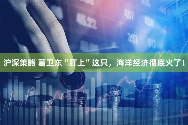 沪深策略 葛卫东“盯上”这只，海洋经济彻底火了！