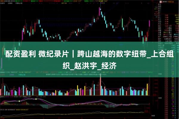 配资盈利 微纪录片｜跨山越海的数字纽带_上合组织_赵洪宇_经济