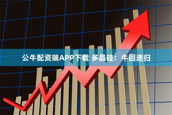 公牛配资端APP下载 多晶硅：牛回速归