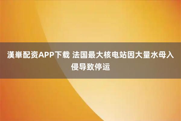 漢崋配资APP下载 法国最大核电站因大量水母入侵导致停运