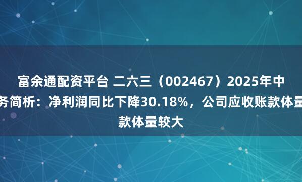 富余通配资平台 二六三（002467）2025年中报财务简析：净利润同比下降30.18%，公司应收账款体量较大